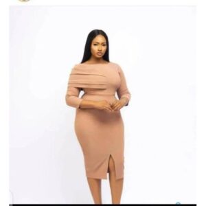 beautiful ladies corporate wear
